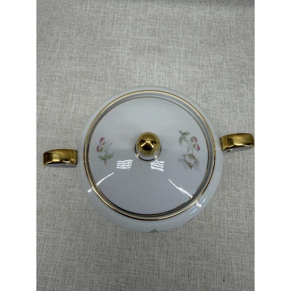 Tirschenreuth Bavaria Germany Floral Porcelain Sugar Bowl‎ w Lid Gold Trim